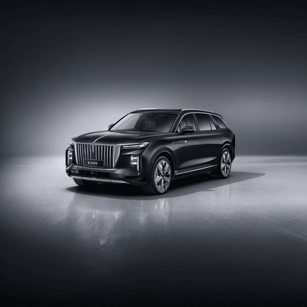 Hongqi E-HS9 colour body exterior detail