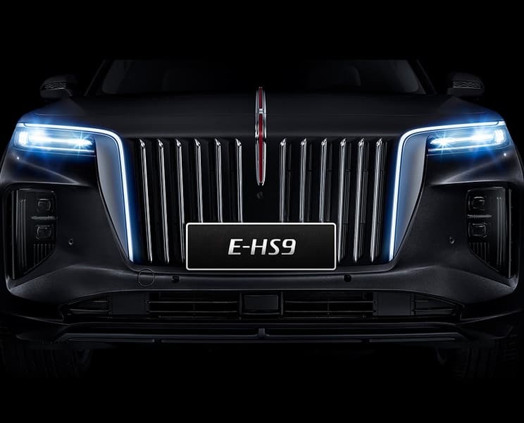 Hongqi E-HS9 welcome lighting detail
