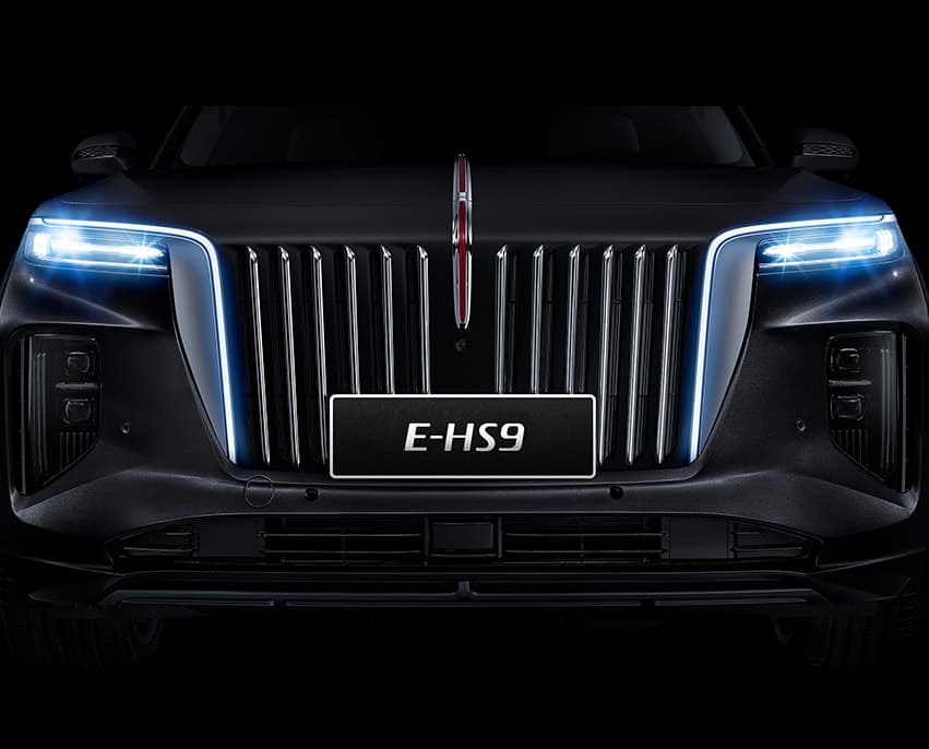 E-HS9