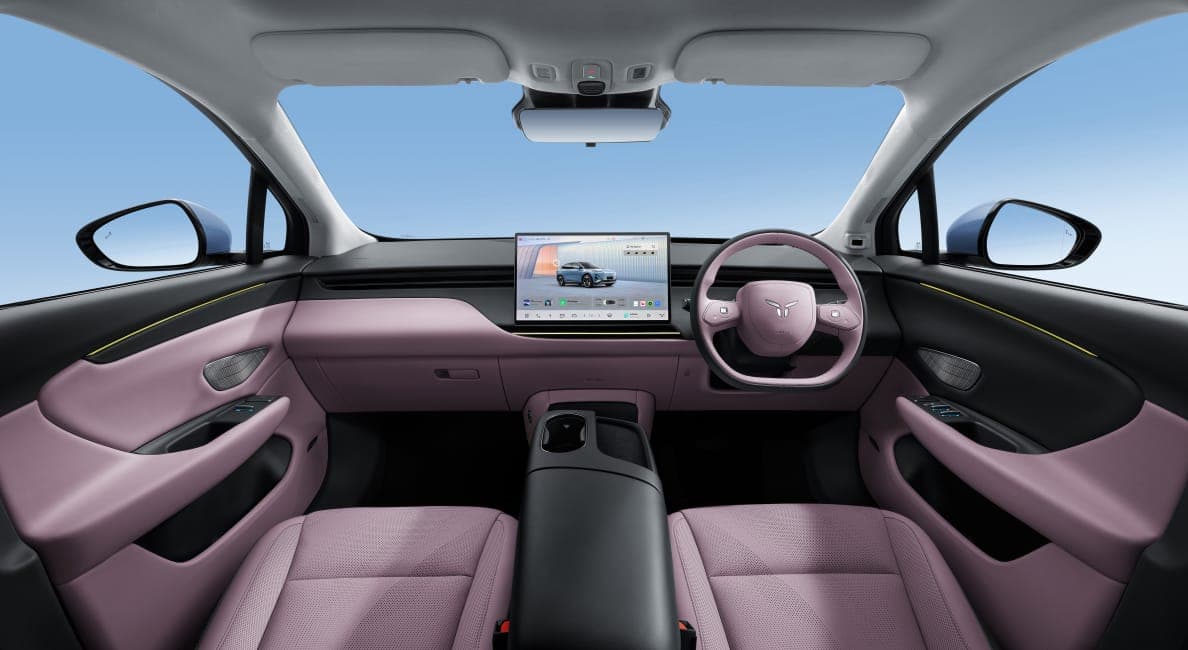 Interior: Black & Purple
